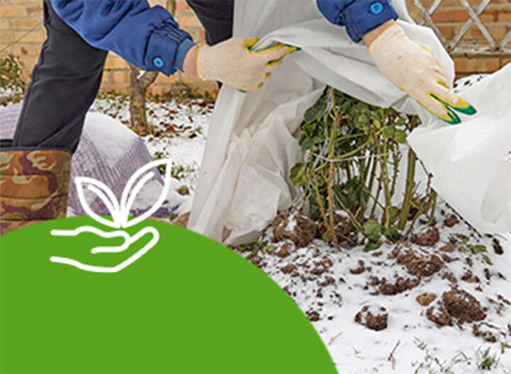 themenwelt mit dem richtigen Pflanzenschutz 360x264